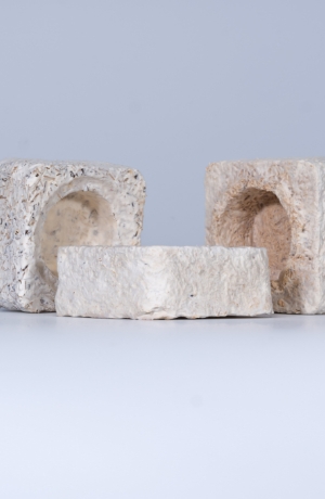 Mycopor – a biodegradable eco frinedly composite material