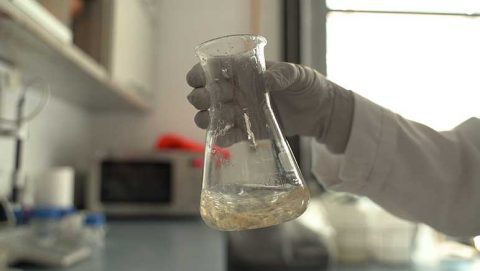 MYCOPOR-Research-and-Development-02-480x271